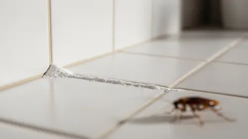 Cara Membasmi Kecoa di Kamar Mandi, Biar Nggak Muncul Lagi dan Bikin Jijik